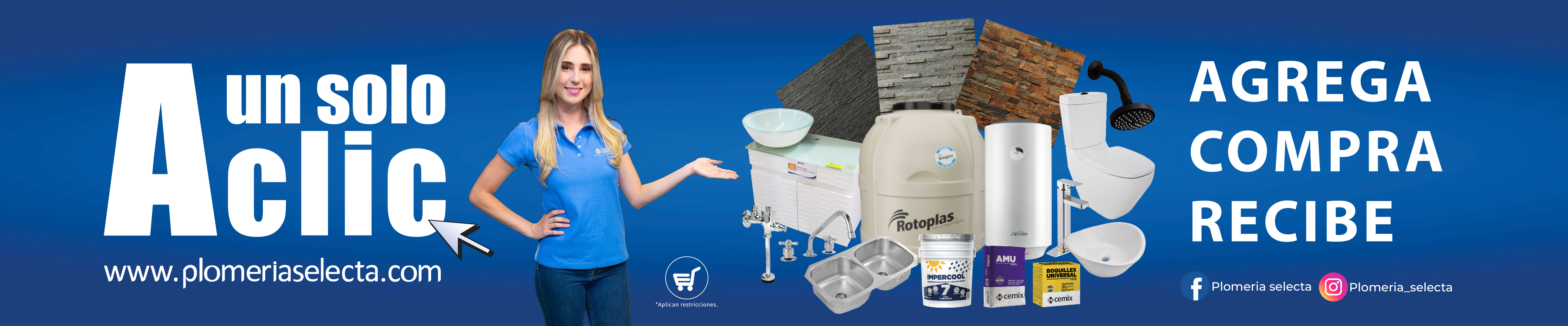 Plomeria selecta banners